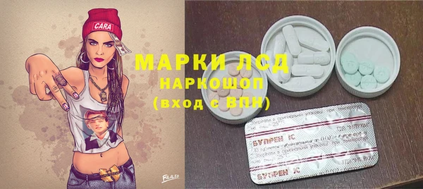 сатива Мегион