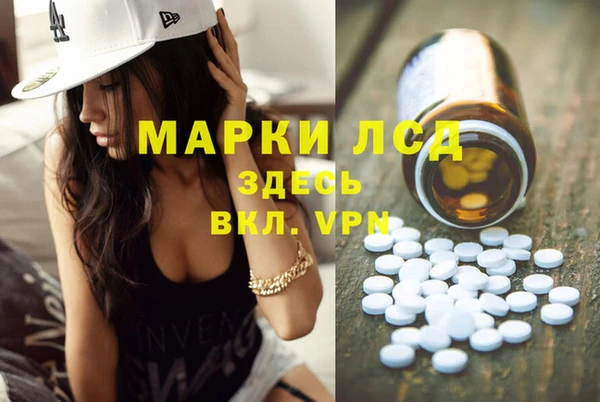сатива Мегион