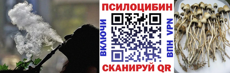 Галлюциногенные грибы Psilocybe  Купить закладки  Медынь 